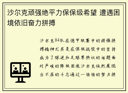 沙尔克顽强绝平力保保级希望 遭遇困境依旧奋力拼搏